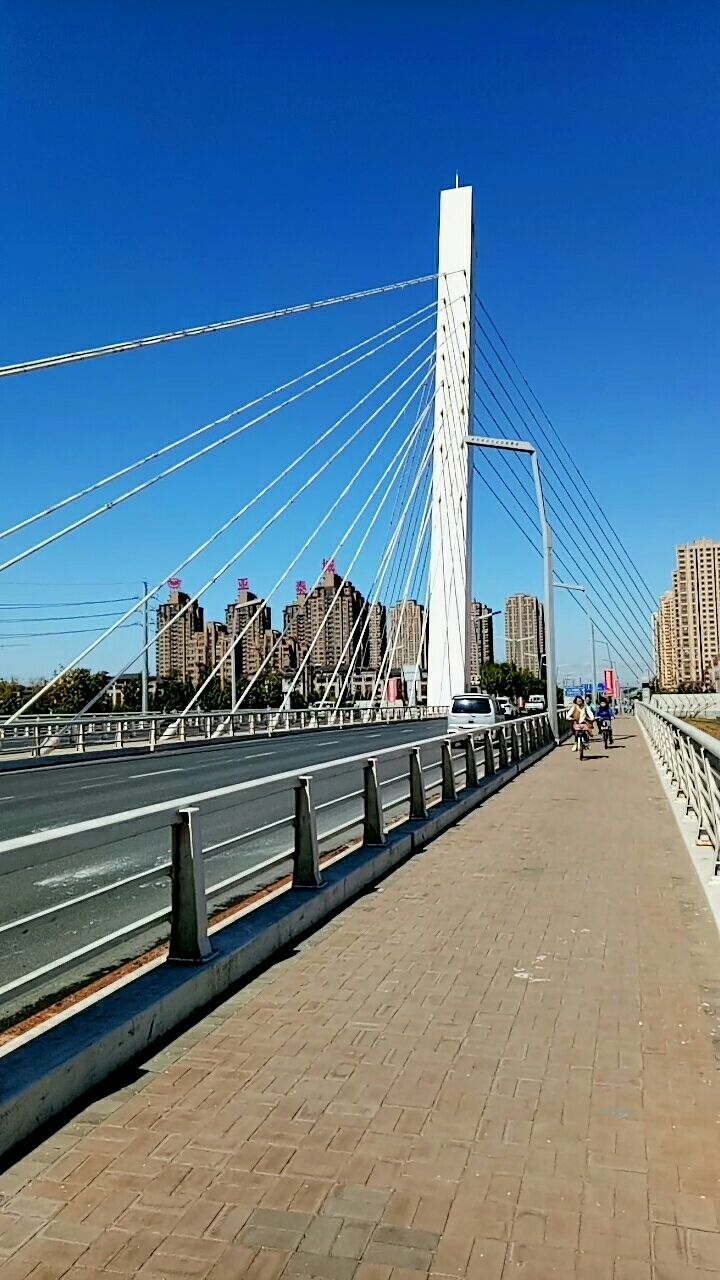 沈阳盛京在主场战胜上海徽商的简单介绍