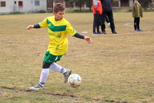 罗马常规赛惊险波尔图，樊振东砍下5记关键球，全场沸腾